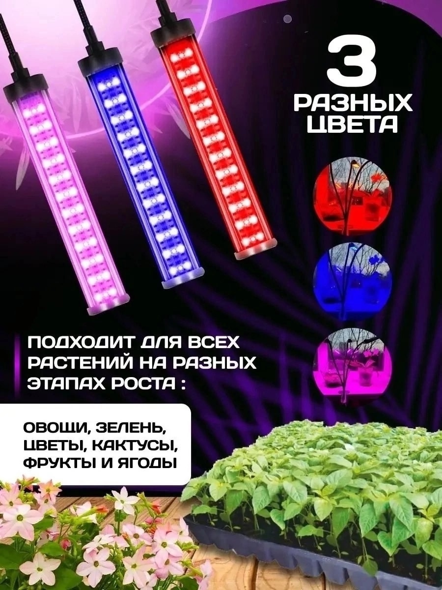 Фитолампа для растений